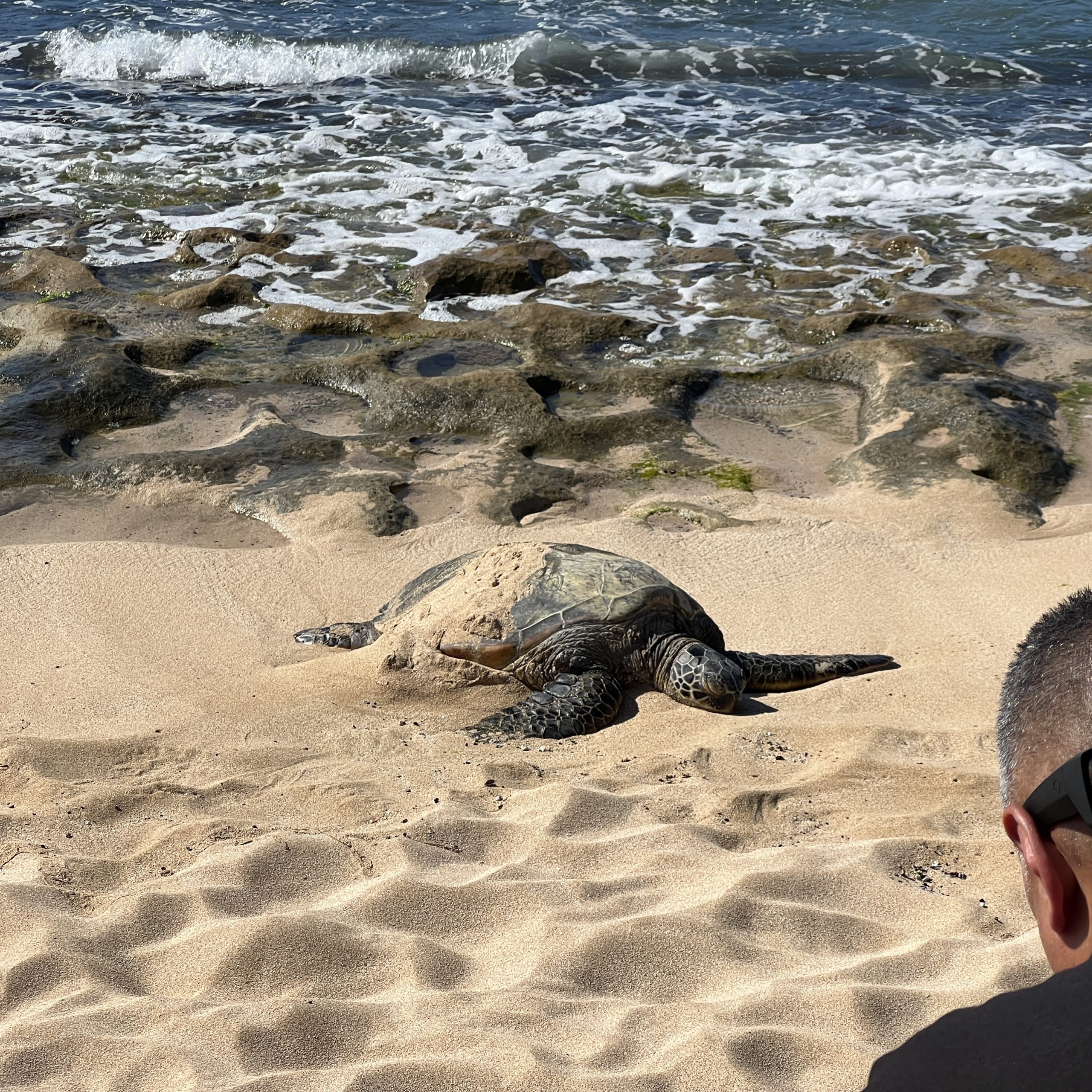 Turtle Beach Experience
