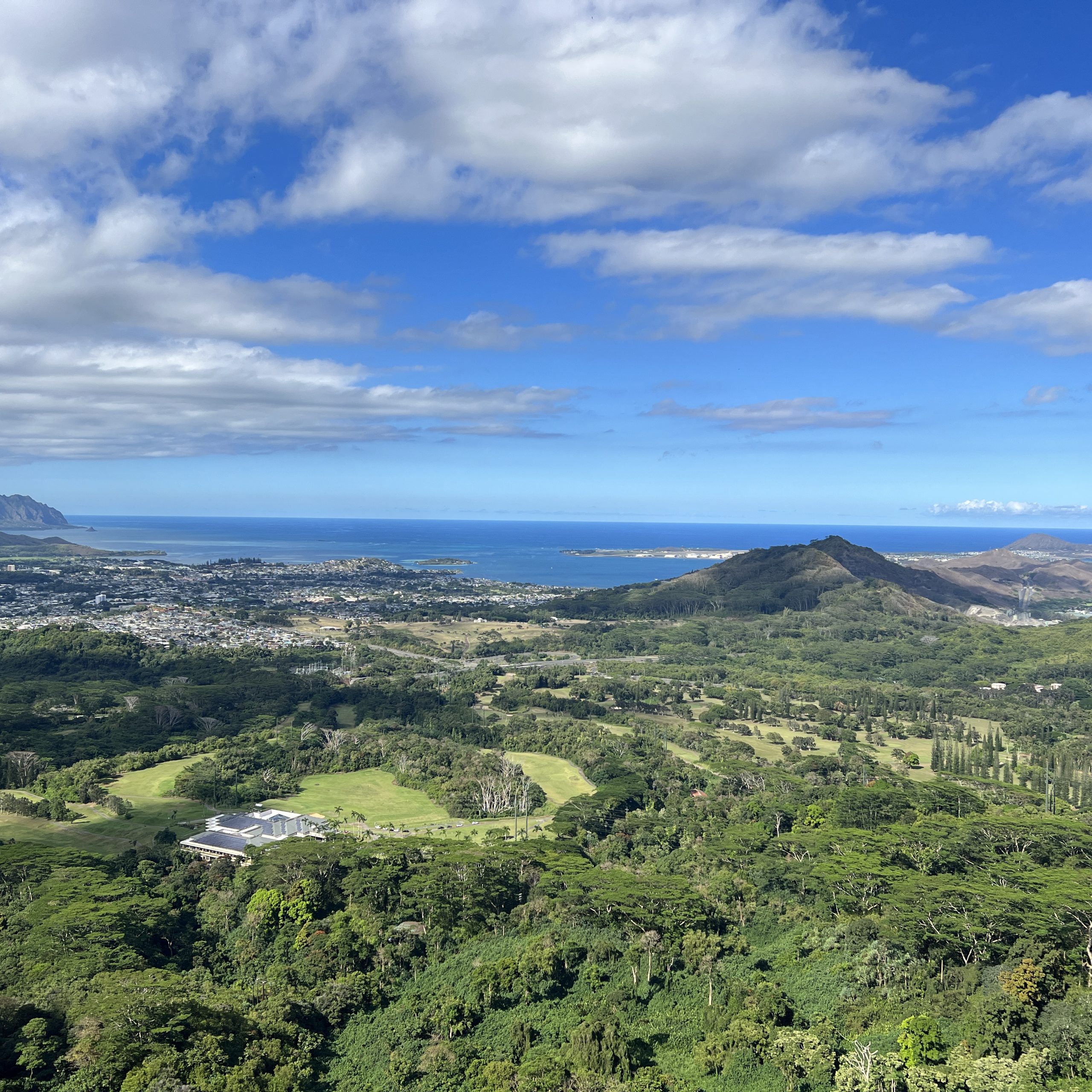 Pali Lookout: A Window to Oahu's Dramatic History and Scenery