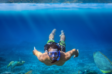 Honolulu Snorkeling Tours