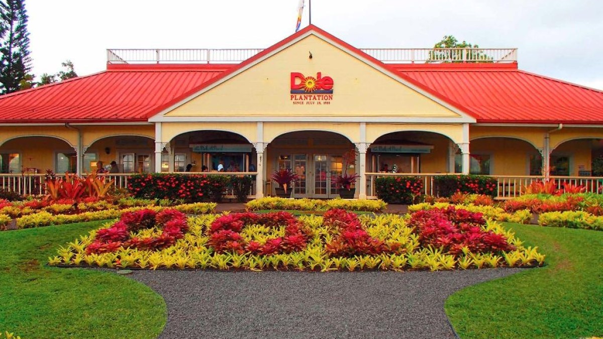 a colorful flower garden in front of a building