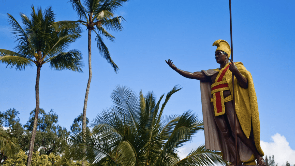 a person standing in front of a palm tree