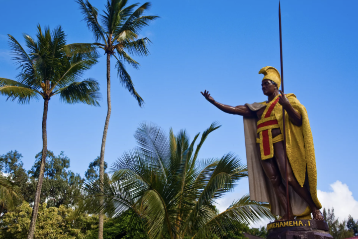 a person standing in front of a palm tree
