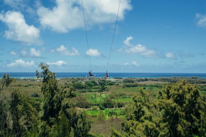 a group of people standing on a lush green field