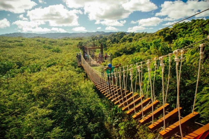 a bridge on top of a lush green field