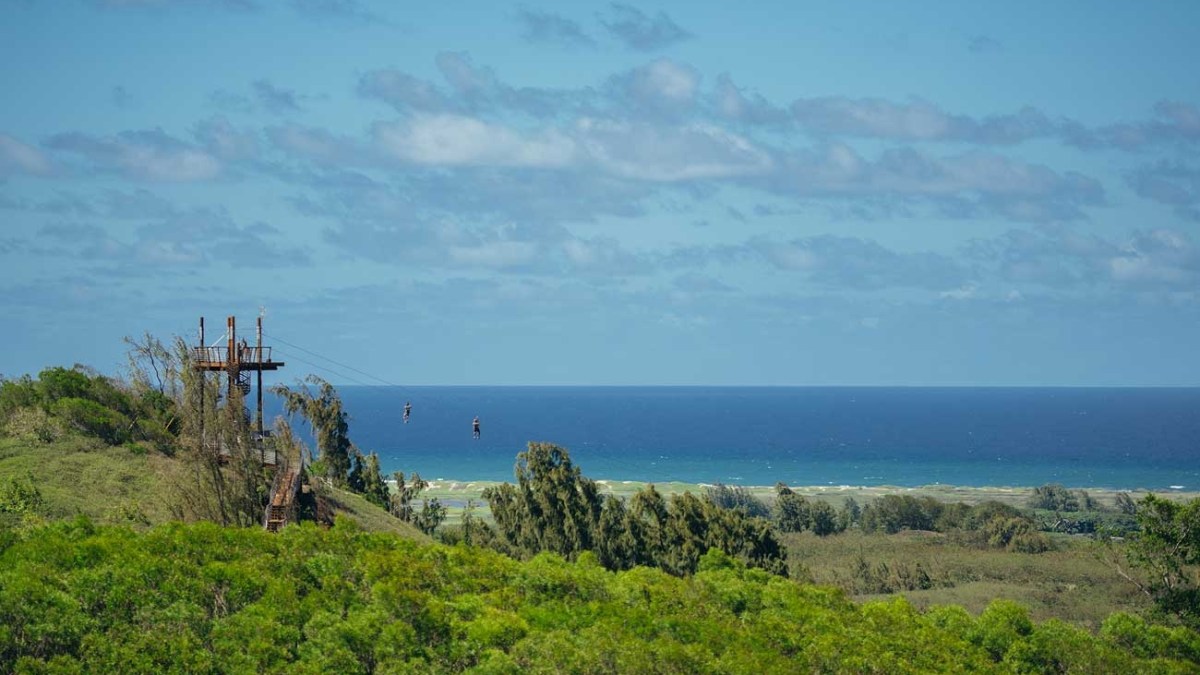 a close up of a hillside next to a body of water