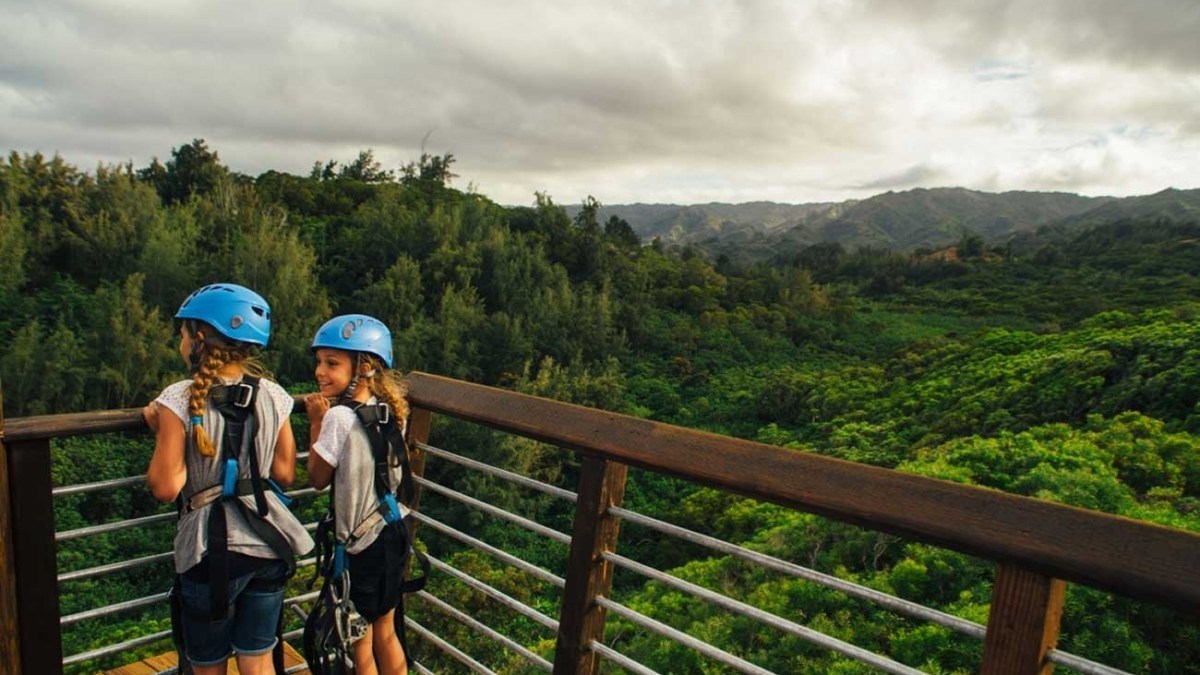 a person standing on top of a wooden fence