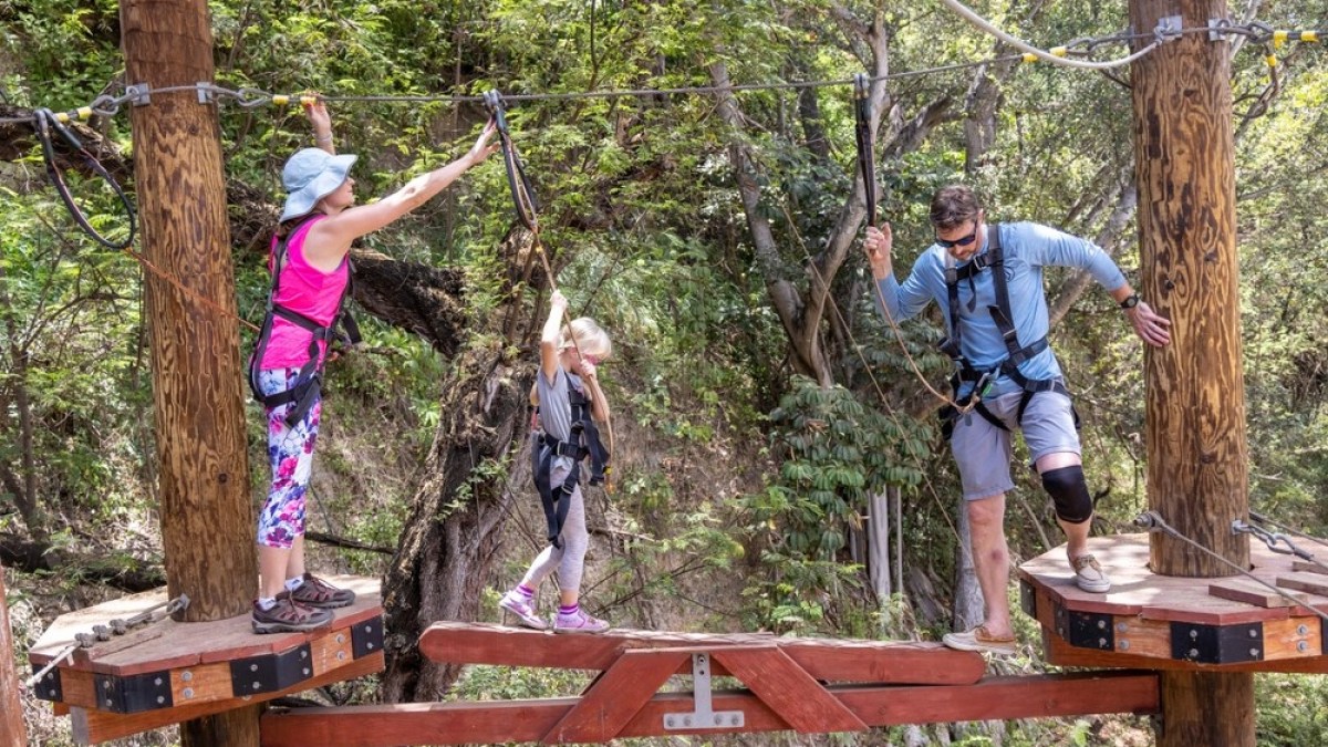 a group of people in a forest