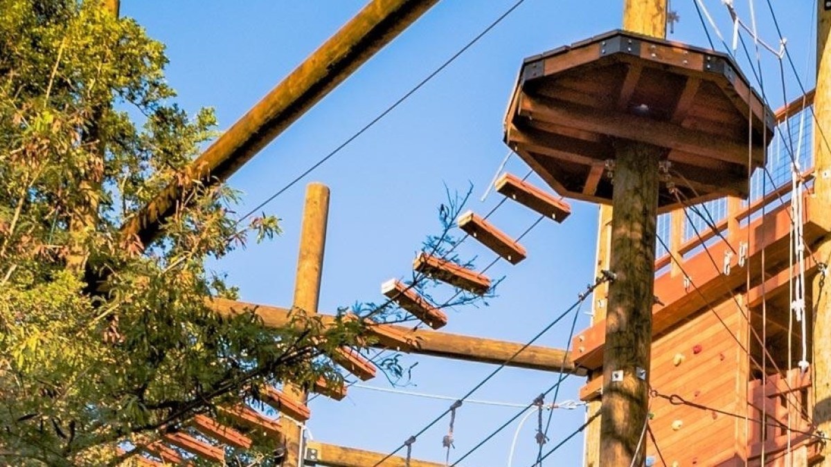 a close up of a light pole