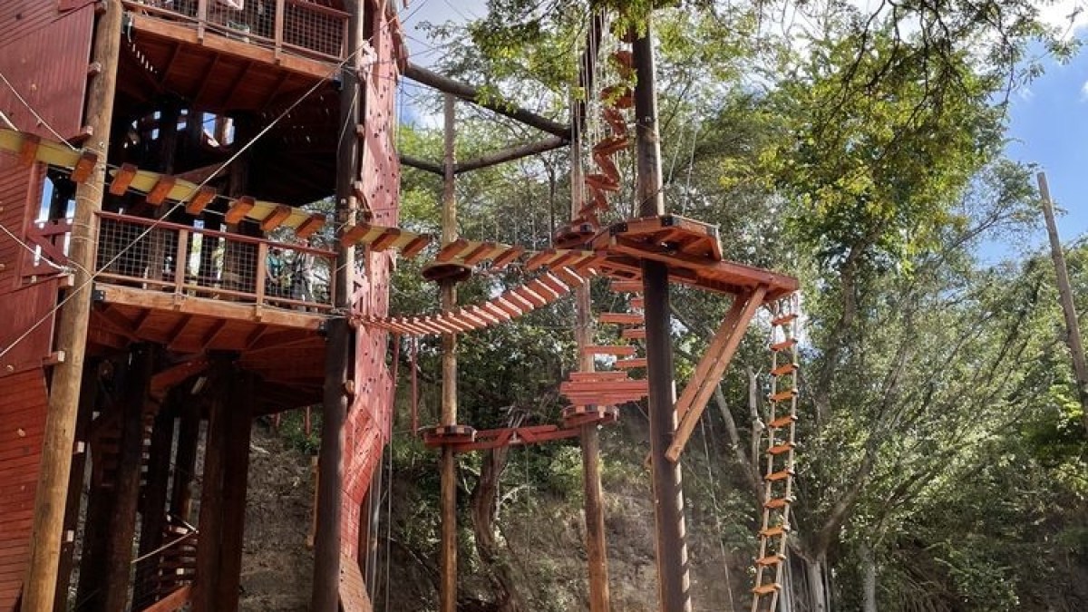 a group of people in a forest