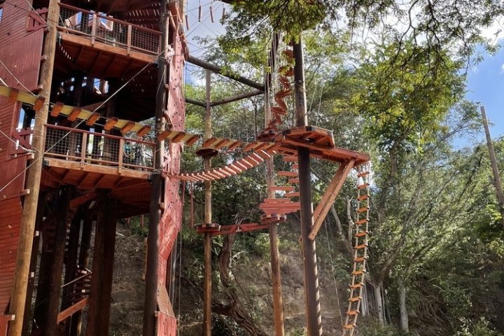 a group of people in a forest