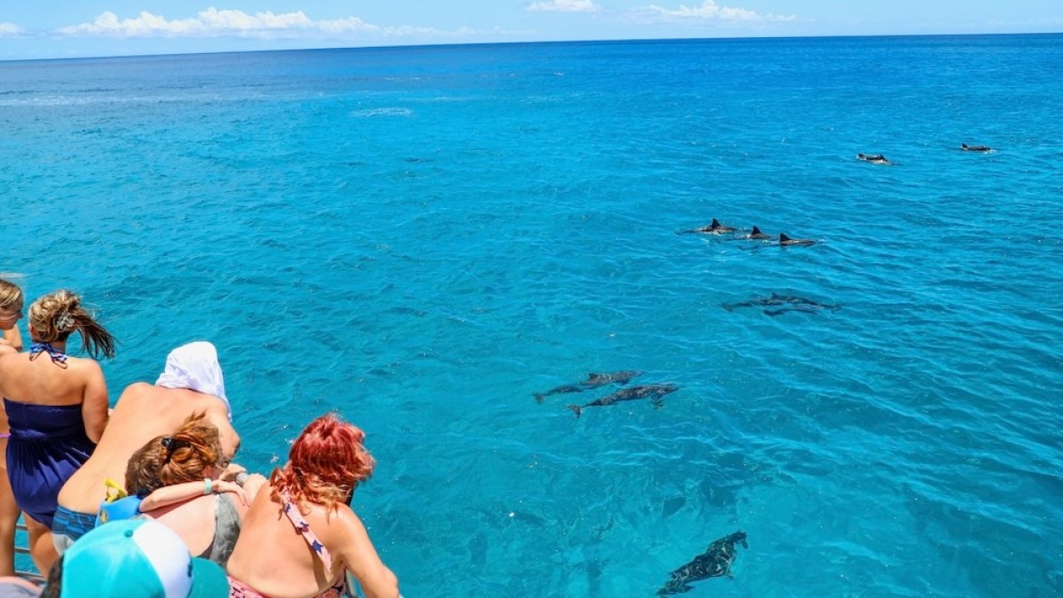 a group of people swimming in a body of water