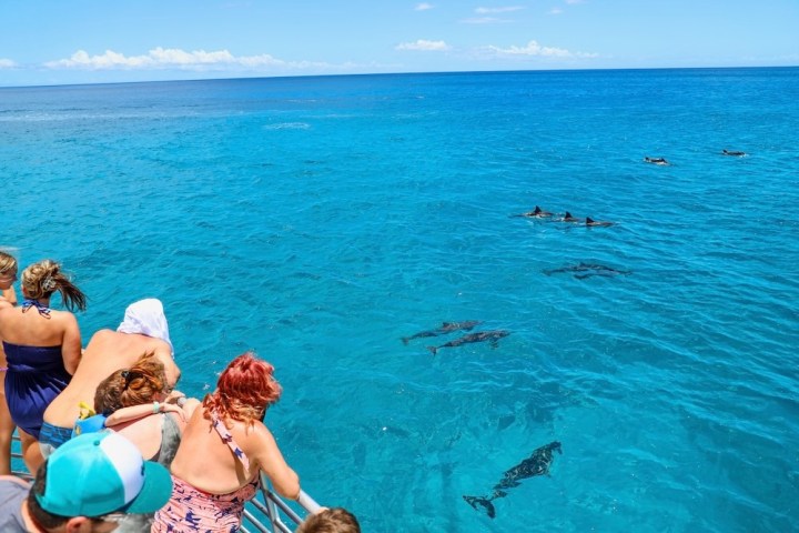 a group of people swimming in a body of water