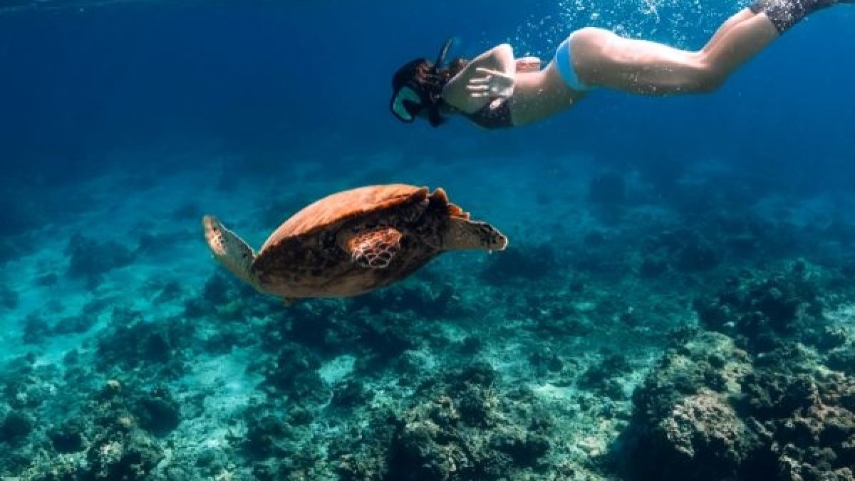 a man swimming in a body of water