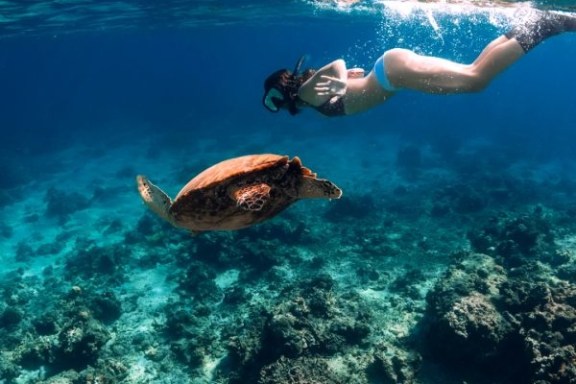 a man swimming in a body of water