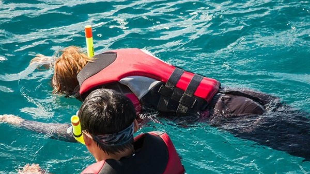 a child swimming in a pool of water
