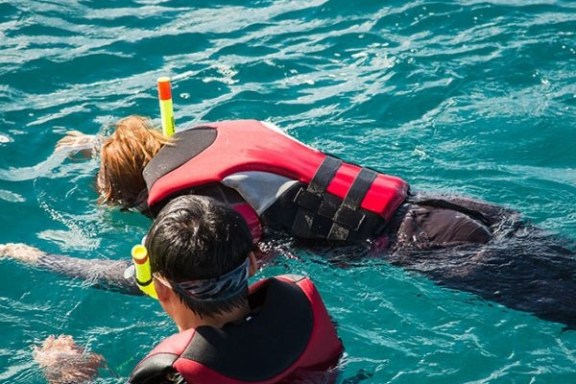 a child swimming in a pool of water