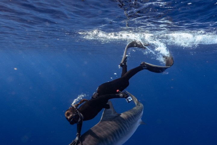 a man swimming in the water
