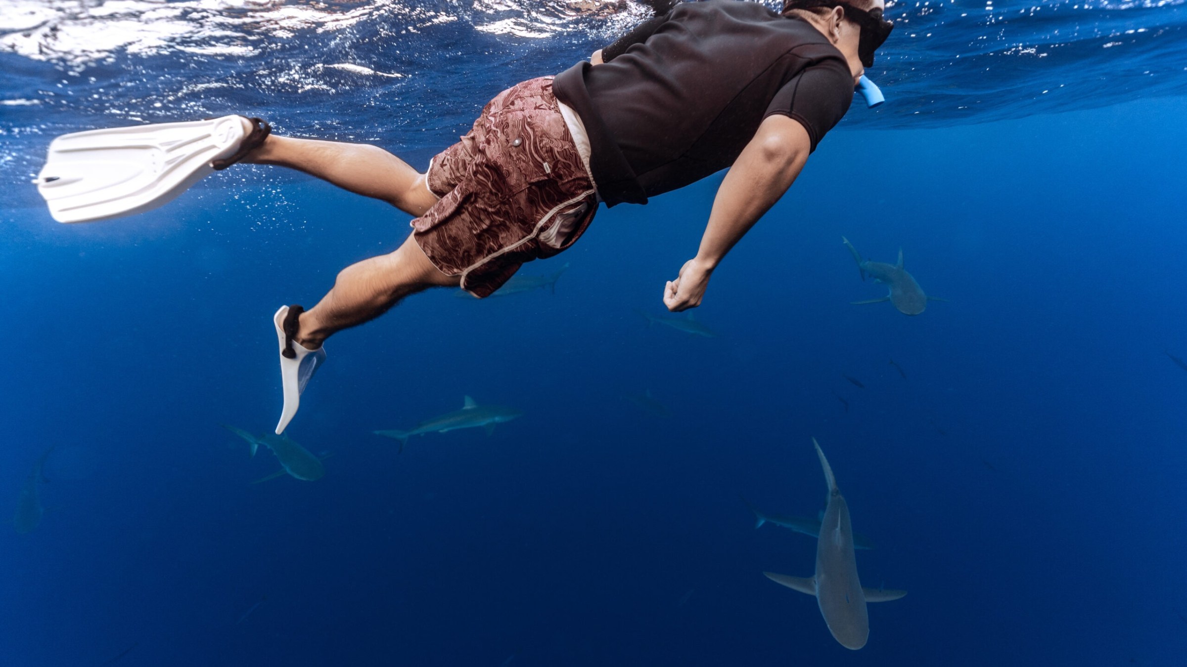 a man flying through the air while swimming in a body of water