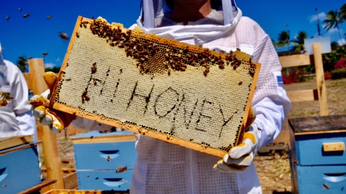 a person holding a birthday cake