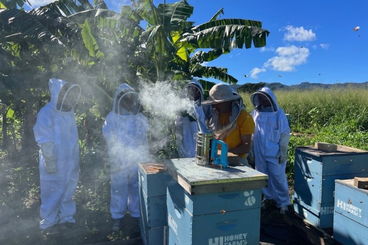 a group of people standing next to a truck