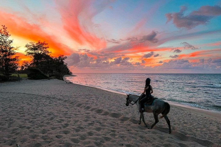 a person riding a horse on a beach