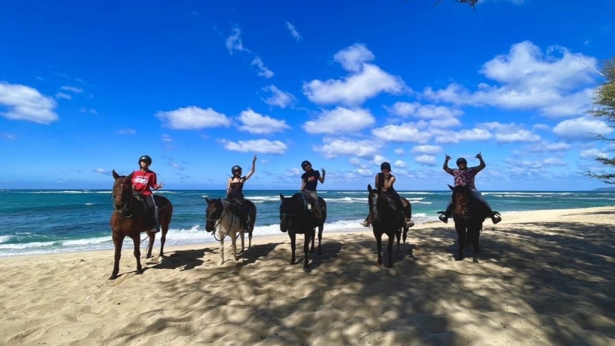a group of people standing on top of a sandy beach