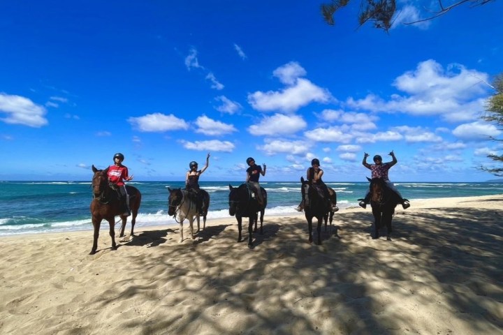 a group of people standing on top of a sandy beach