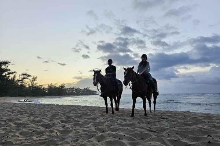 a group of people standing on top of a sandy beach