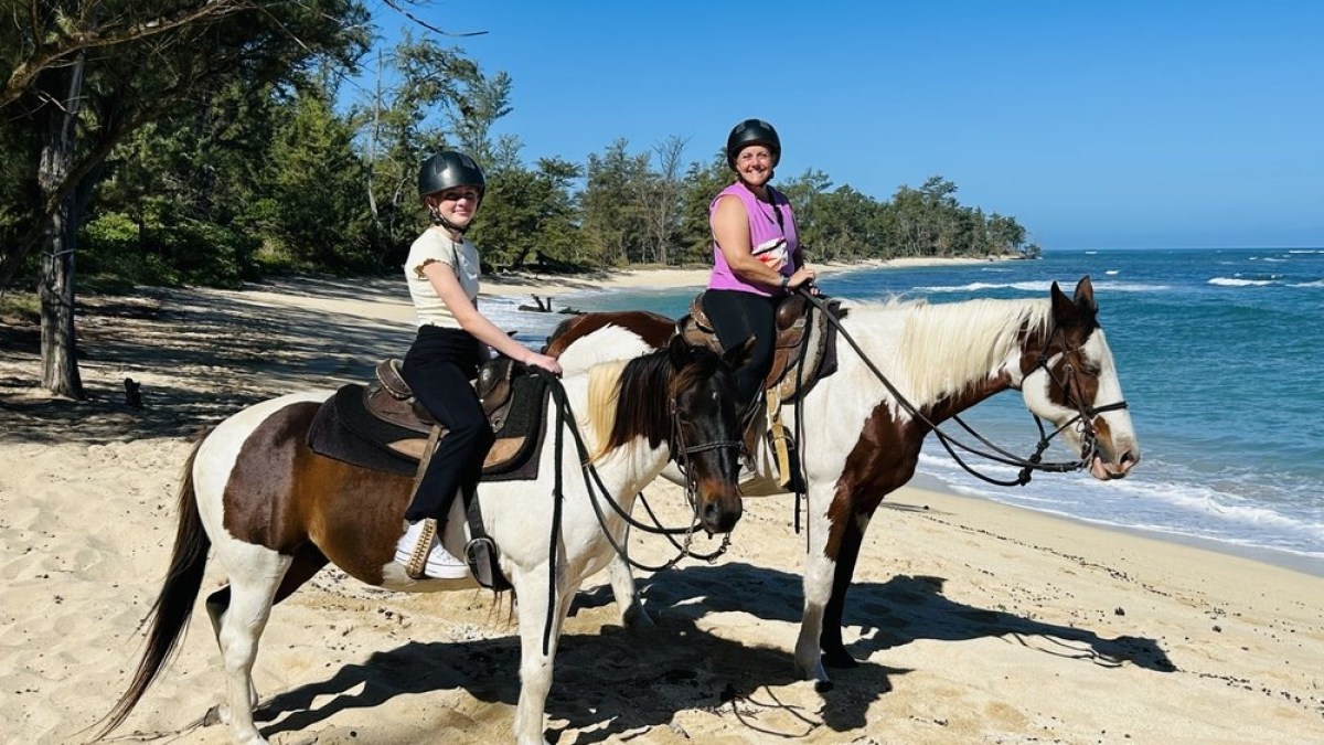 a person riding a horse on a beach