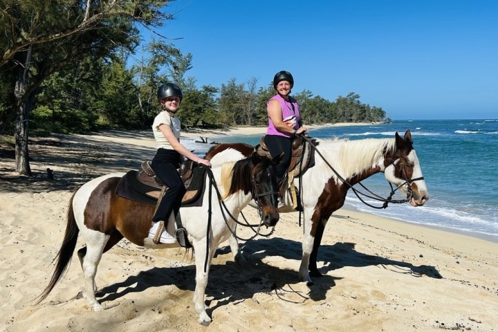 a person riding a horse on a beach