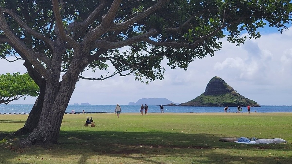 a group of people on a beach near a body of water