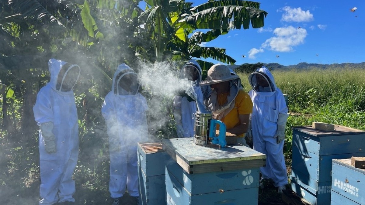 Beekeepers in suits tending to hives outdoors with smoker equipment.