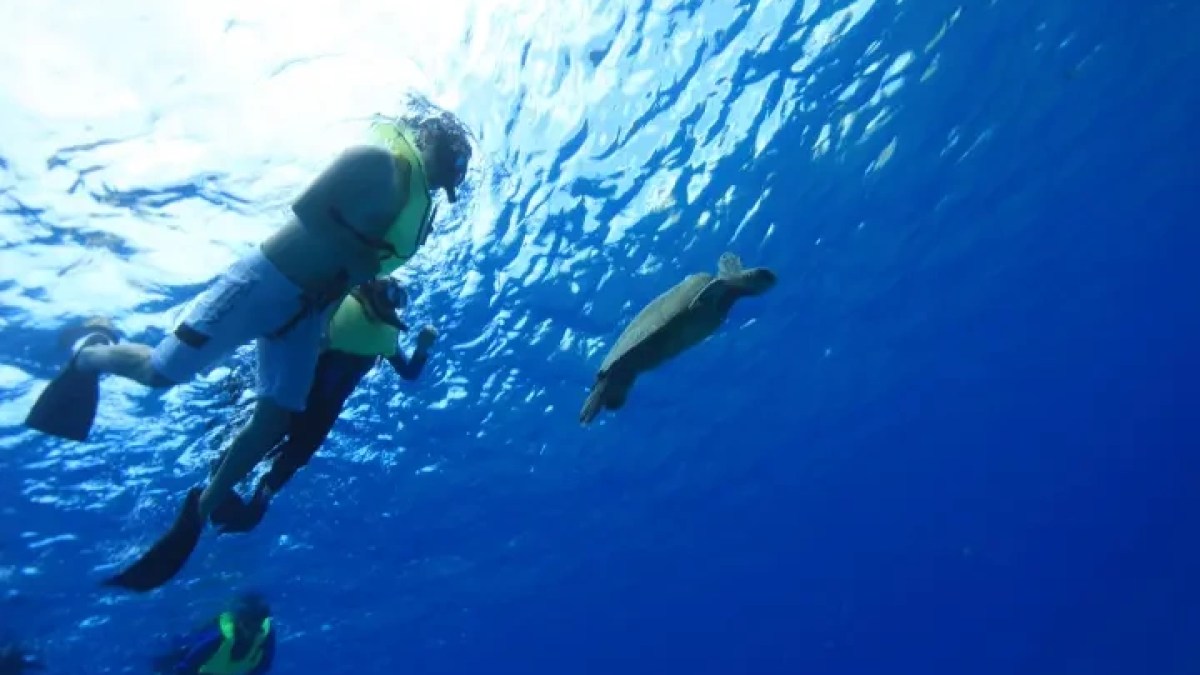 a man swimming in the water