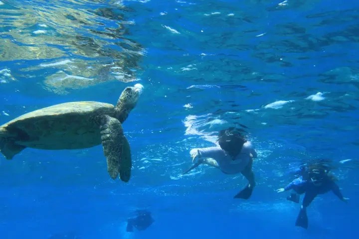 a person swimming in a pool of water