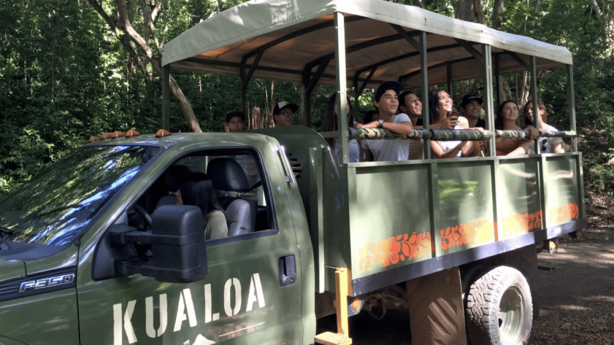 a person riding on the back of a truck