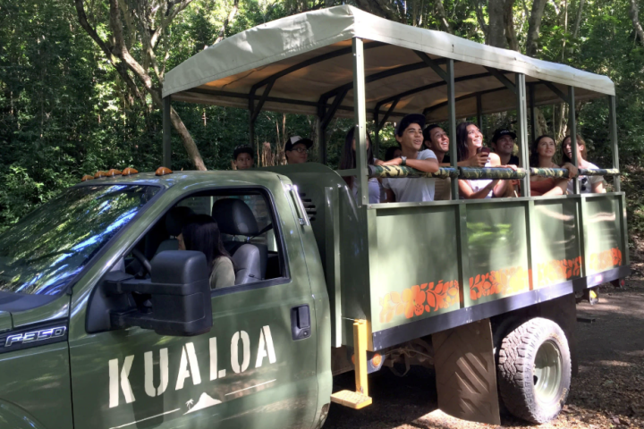 a person riding on the back of a truck