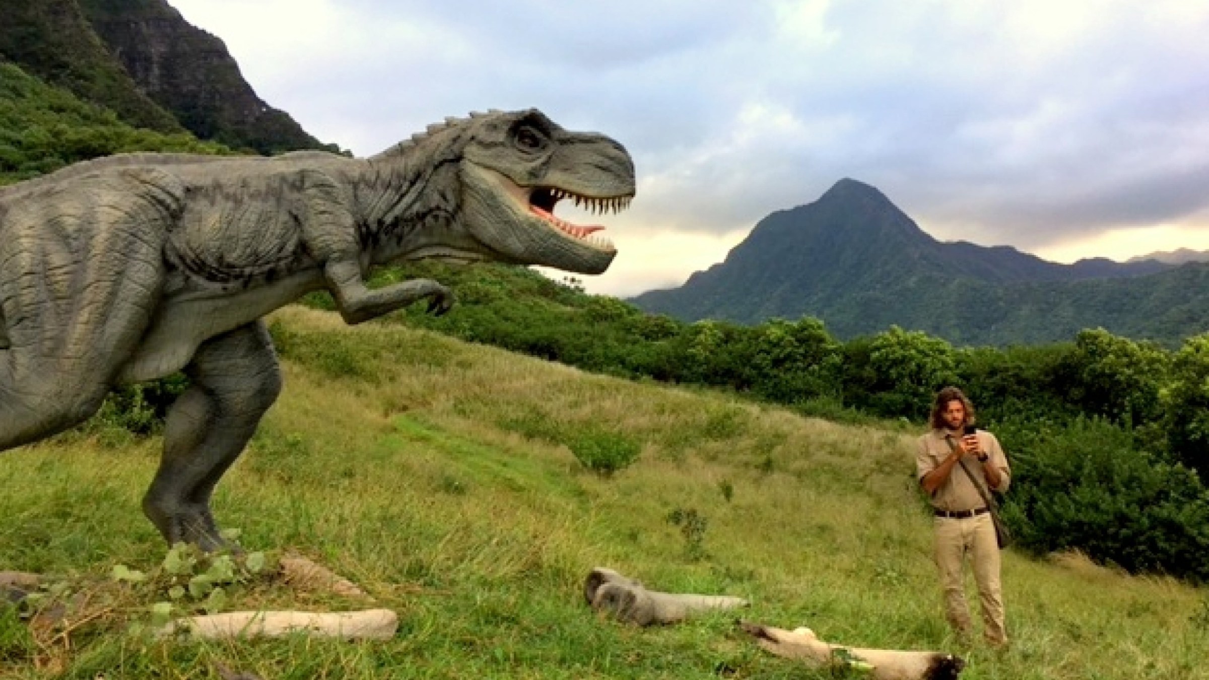 a reptile on a grassy hill