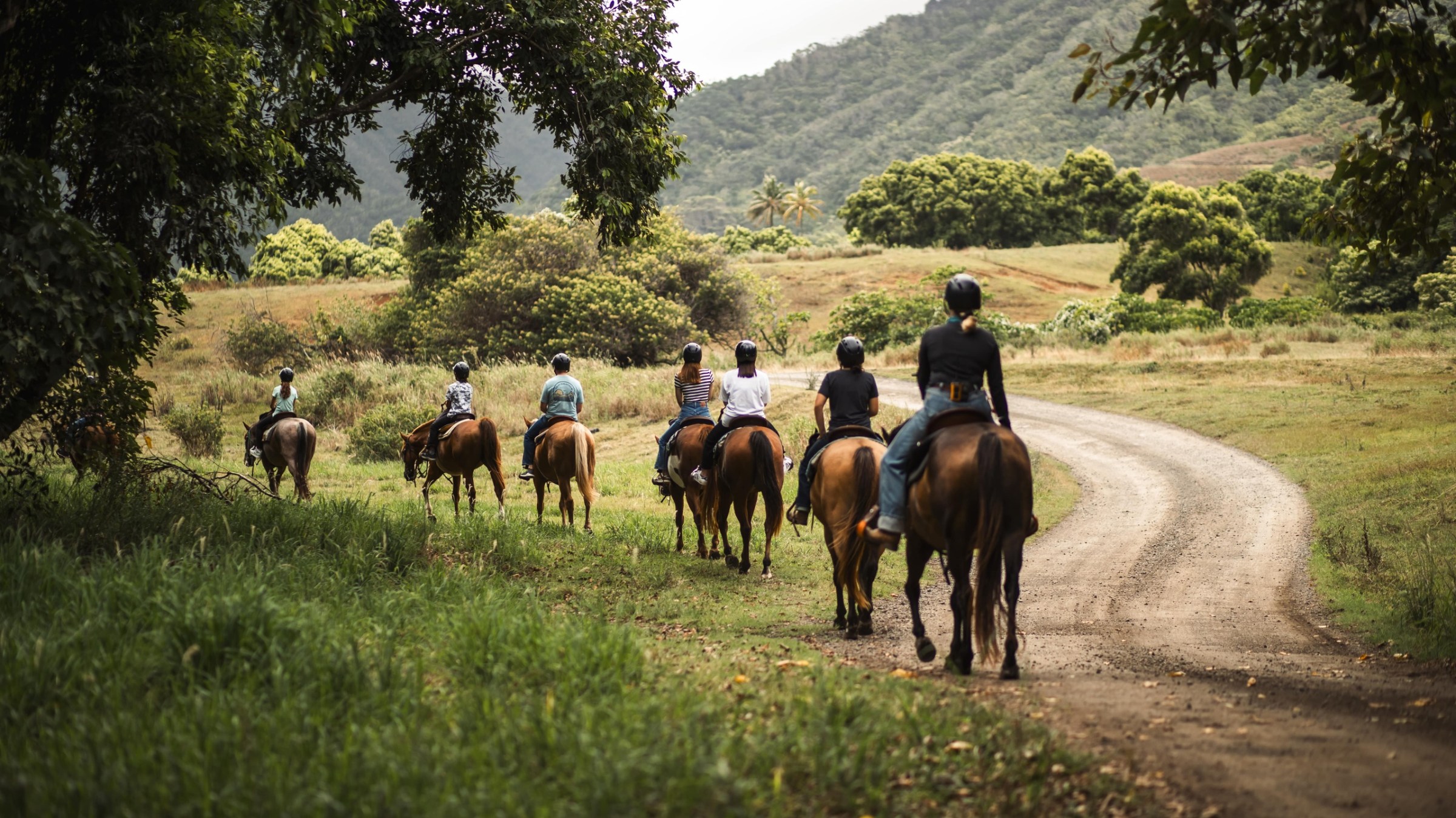 a group of people riding on the back of a brown horse