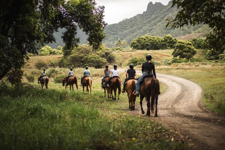 a group of people riding on the back of a brown horse