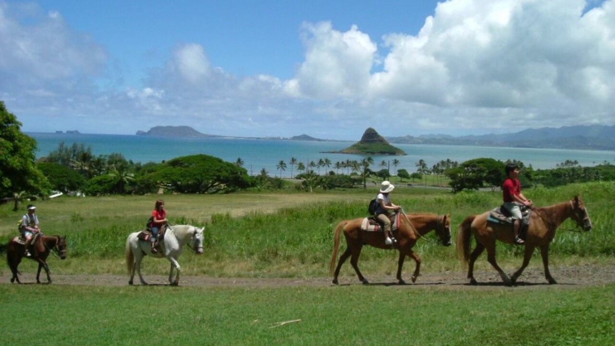 a group of people riding a horse in a field