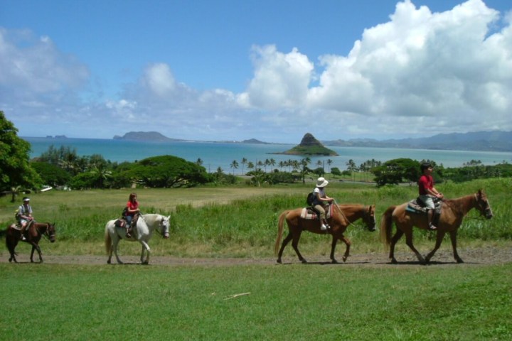 a group of people riding a horse in a field