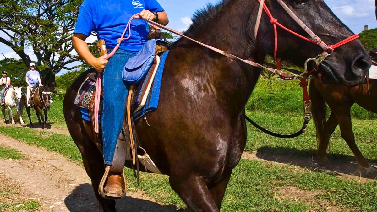 a man riding a horse