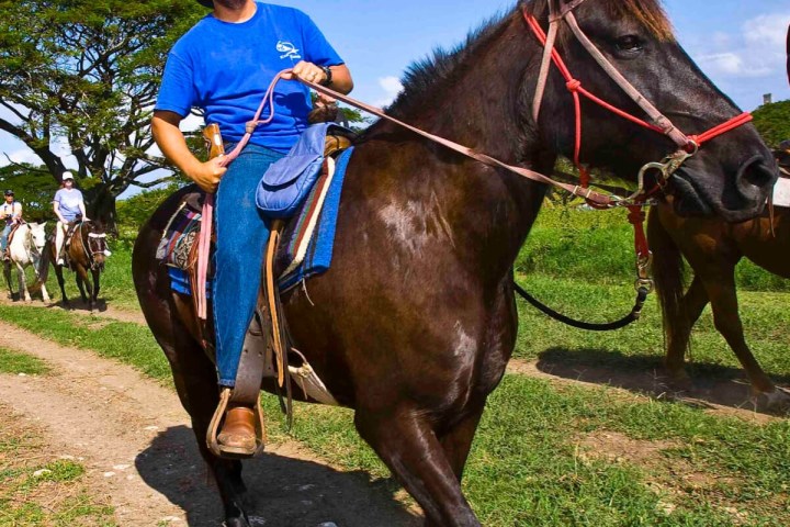 a man riding a horse