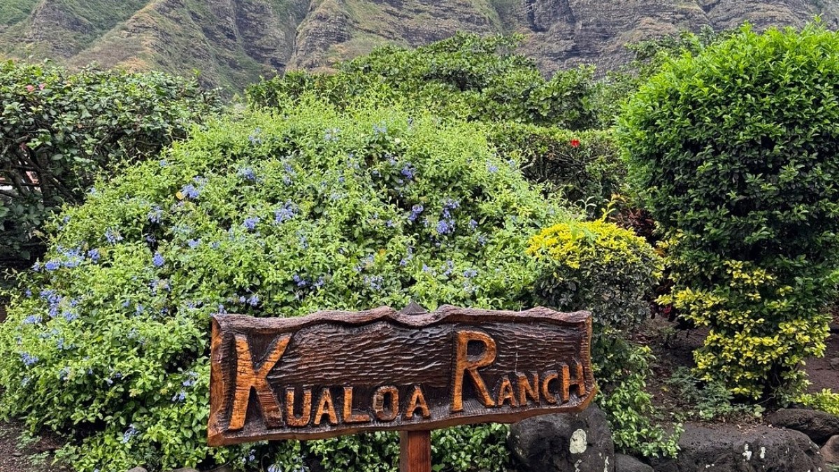 a bench in front of a mountain