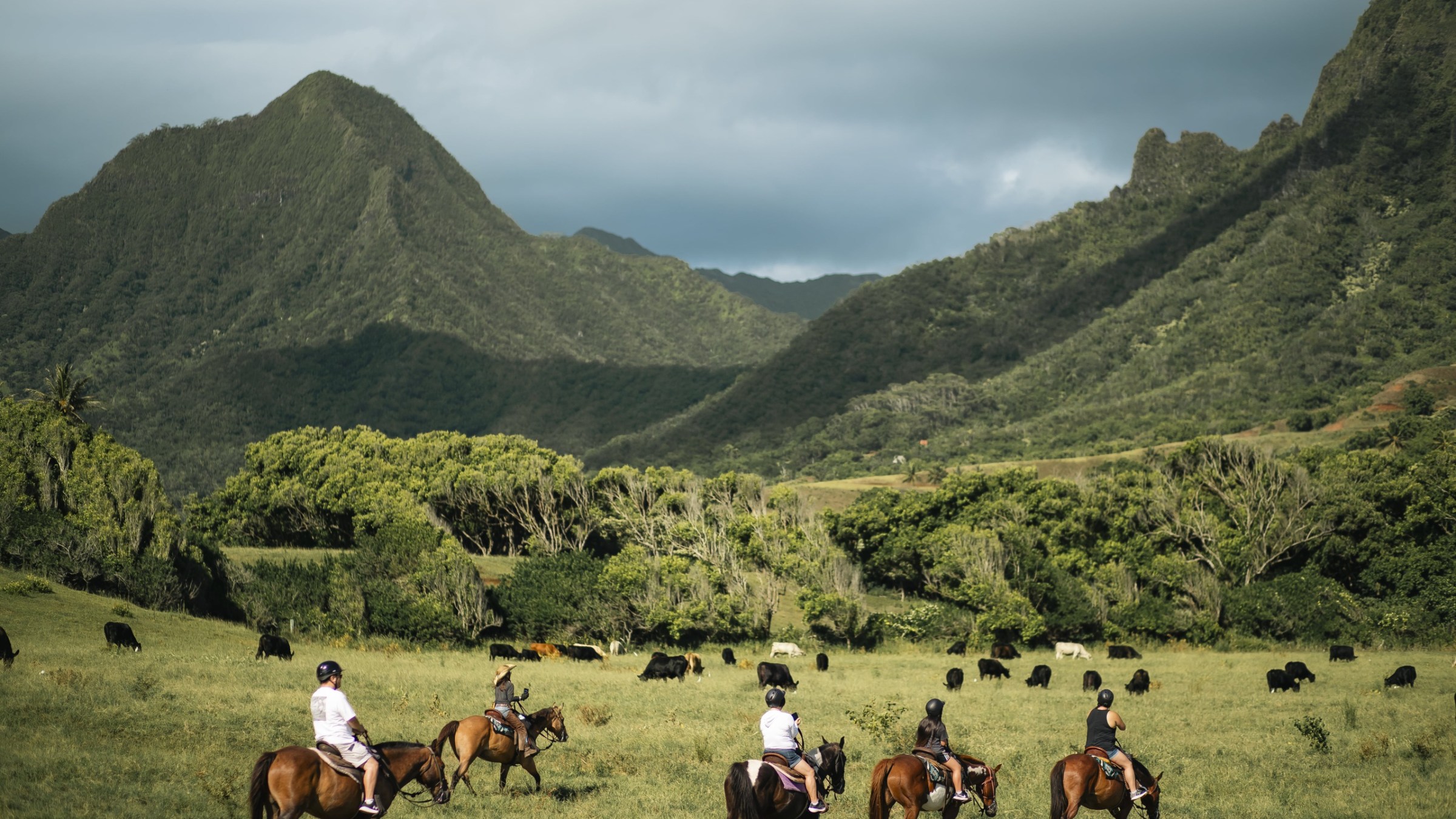 a group of people riding on the back of a horse