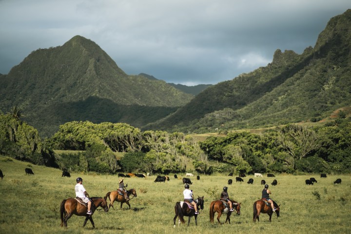 a group of people riding on the back of a horse