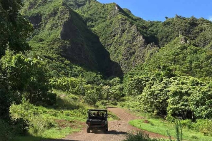 a path with trees on the side of a mountain