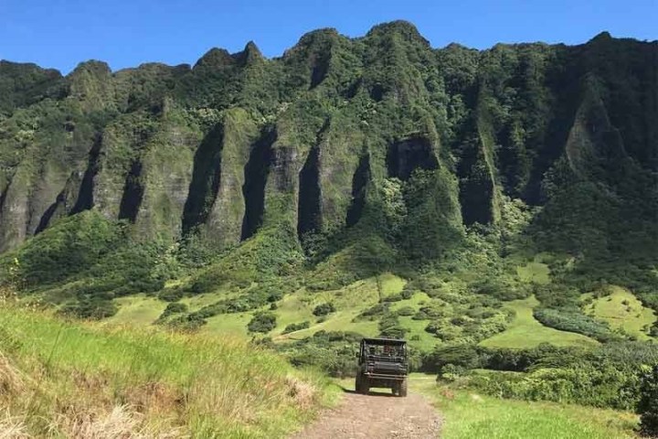 a close up of a hillside with Koʻolau Range in the background