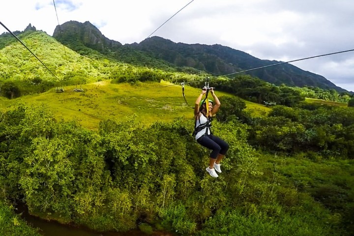 a man standing on a lush green field