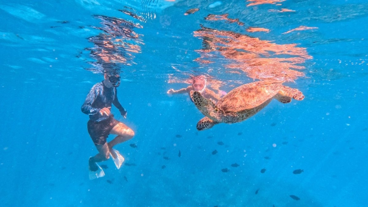 a man swimming in a pool of water